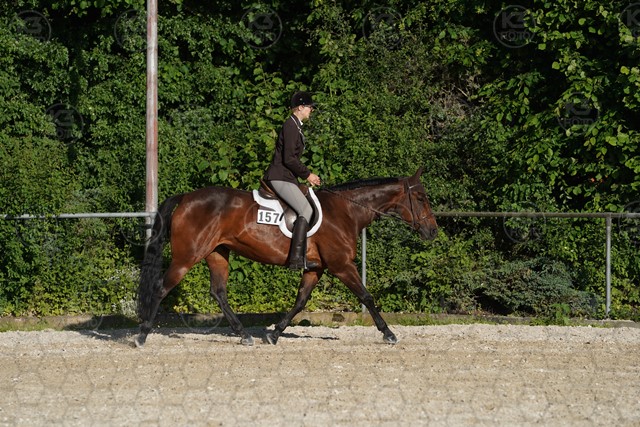 sA9K05971.JPG